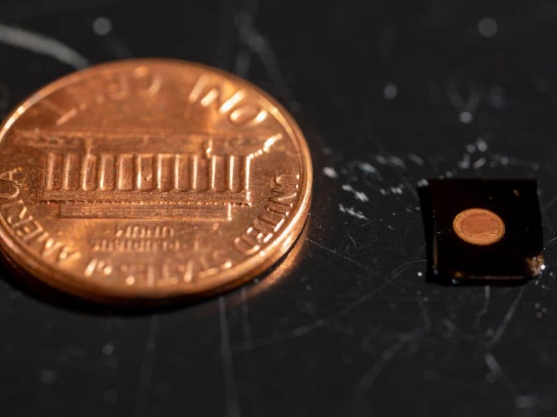 MIT's PlasmoSniff Breath Test Could Diagnose Pneumonia in Minutes