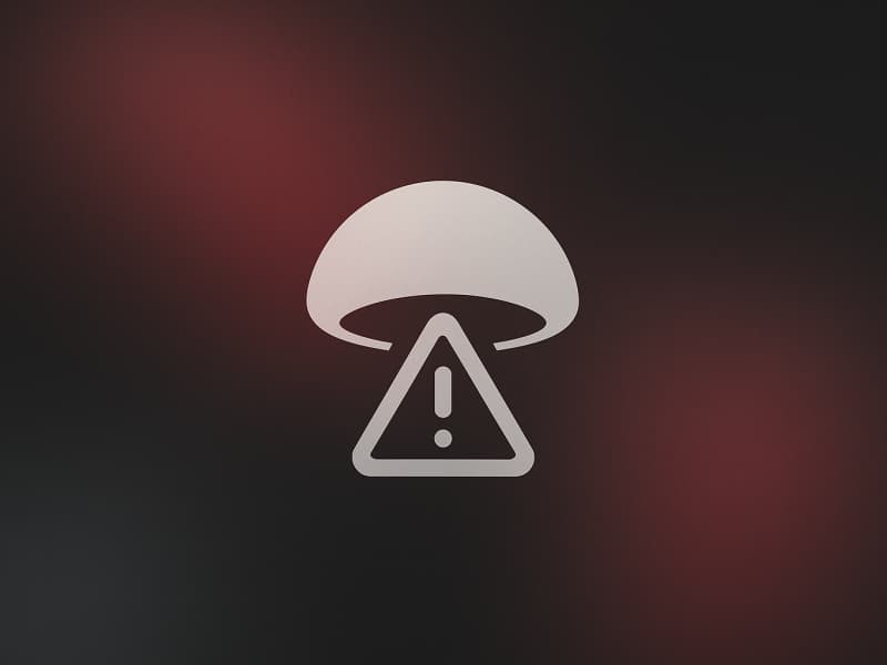 AI Mushroom ID Gets It Wrong 35% of the Time. That Can Kill You.